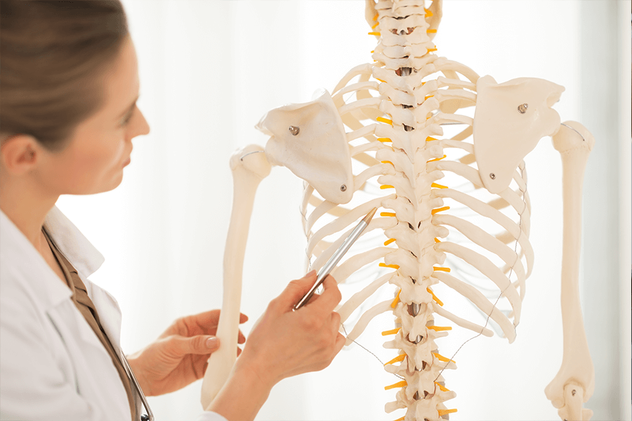 Doctor demonstrating on a model skeleton what sway back posture is
